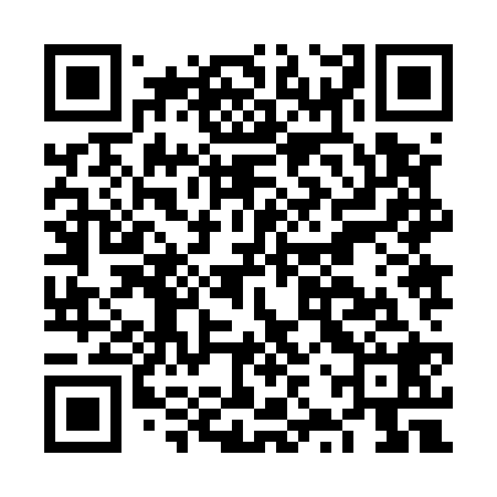 QR code for FZZ528