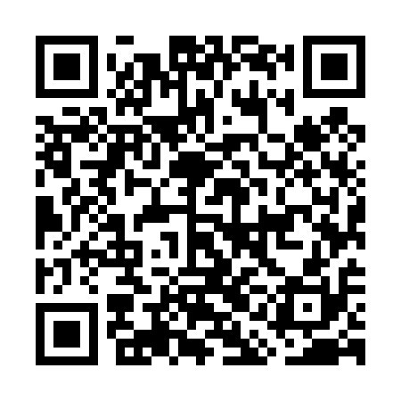QR code for GAM410