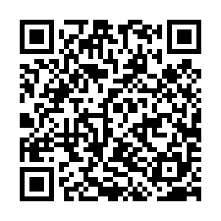QR code for GDD495