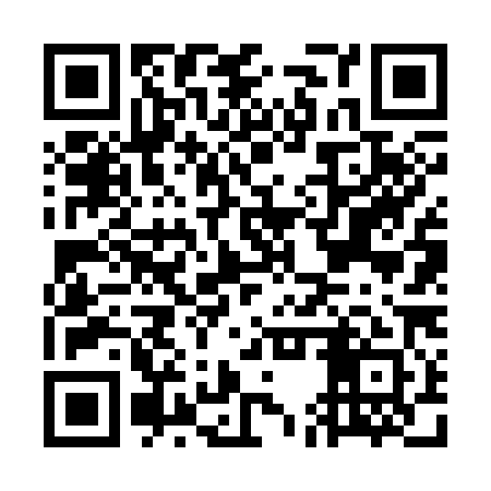 QR code for GEV381