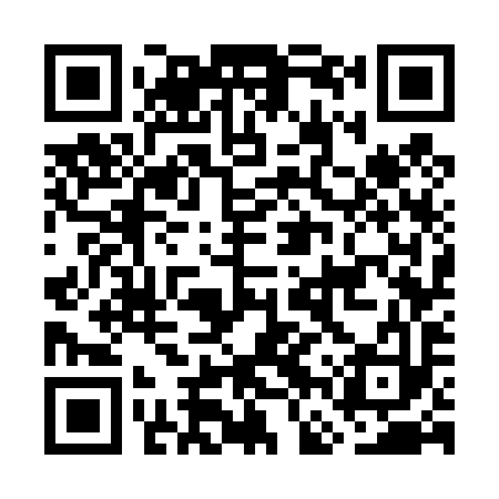QR code for GFW493