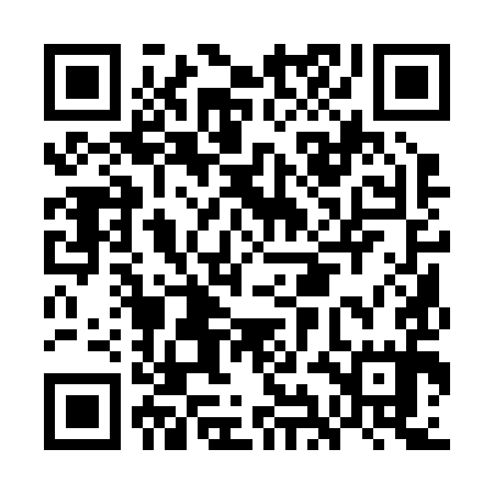 QR code for GIA295