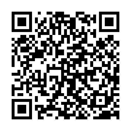 QR code for GJP411