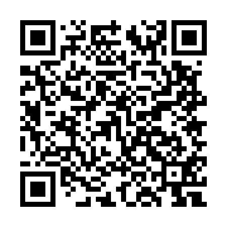 QR code for GOE511