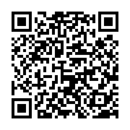 QR code for GOL538