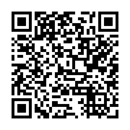 QR code for GRG381