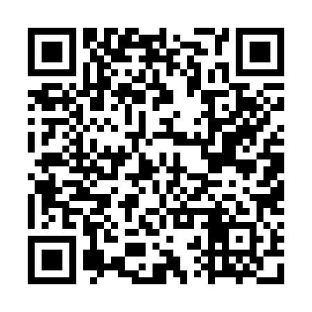 QR code for GRU381