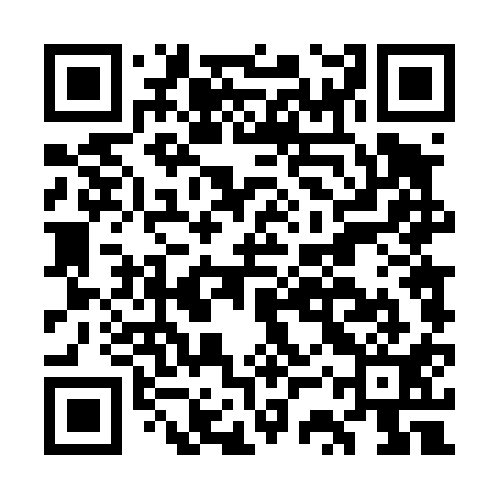 QR code for GST411