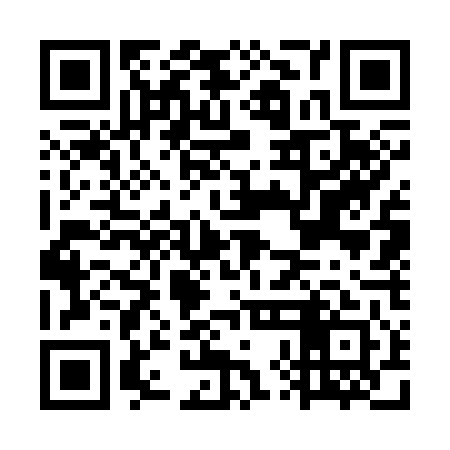 QR code for GXG341