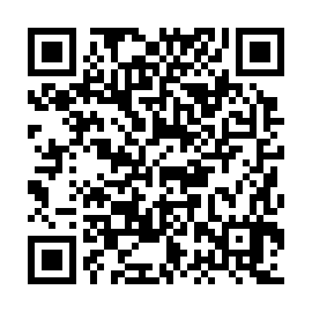 QR code for HBP387