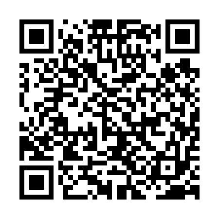 QR code for HCA613