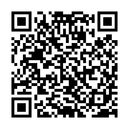 QR code for HCI481