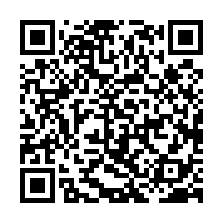 QR code for HCP538