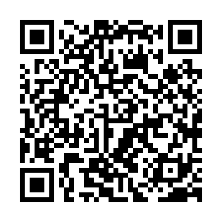 QR code for HEX231