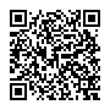 QR code for HHS319