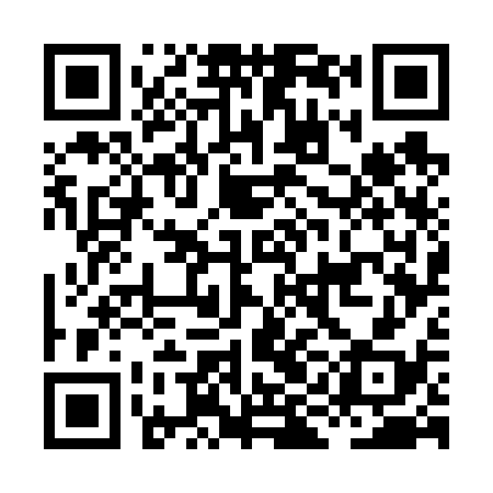 QR code for HIG638