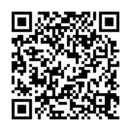 QR code for HJL381