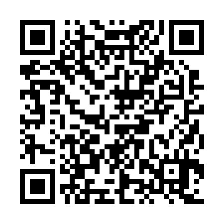 QR code for HJR234