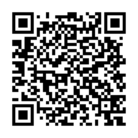 QR code for HLG539