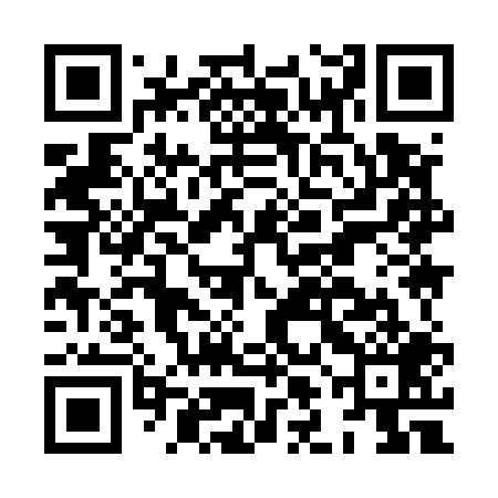 QR code for HLI509