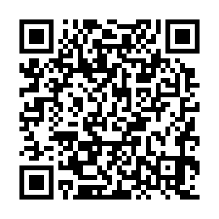 QR code for HLT371