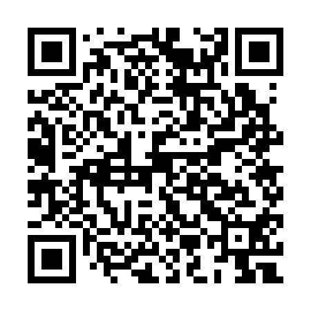 QR code for HMG310