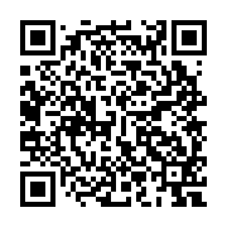 QR code for HMO393
