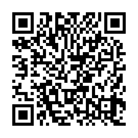 QR code for HNP939