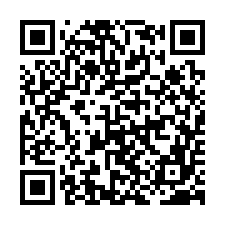 QR code for HNS356