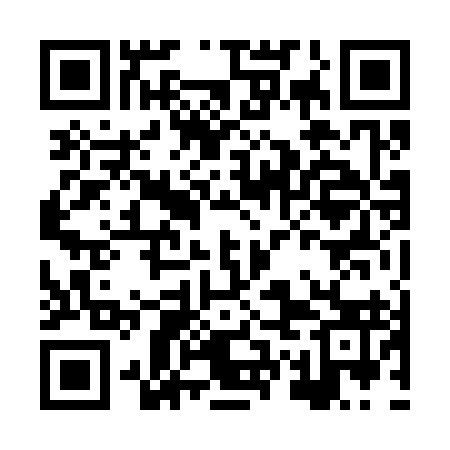 QR code for HWN393