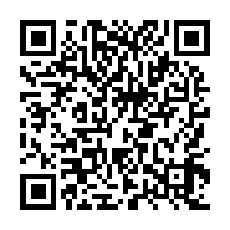 QR code for HWX919