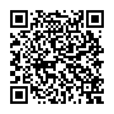 QR code for HYI309