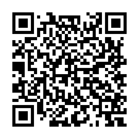 QR code for HYZ904