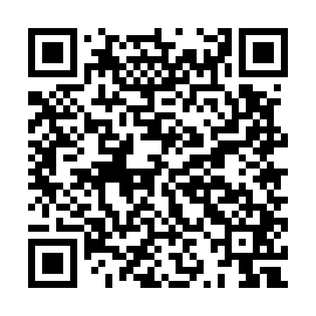 QR code for HZE541