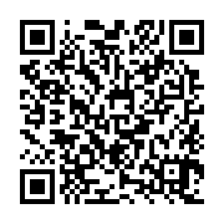 QR code for HZN385