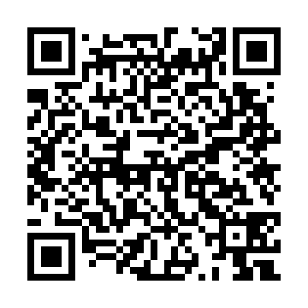 QR code for HZO738