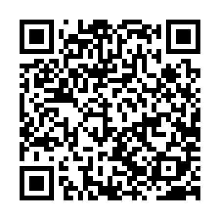 QR code for HZT389