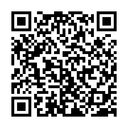 QR code for IAE919