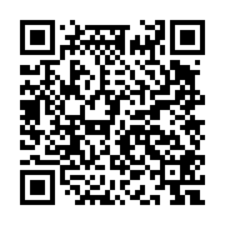 QR code for IAO408