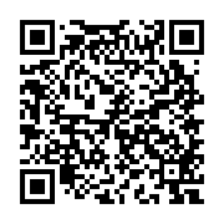 QR code for IAU389