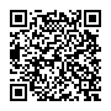 QR code for IBO041