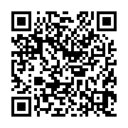 QR code for IBV063