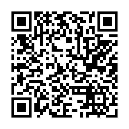 QR code for ICA647