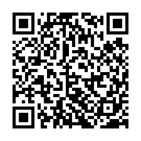QR code for ICE650