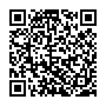 QR code for ICG493