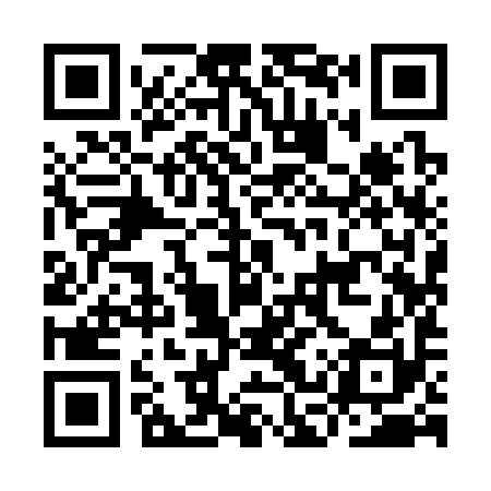 QR code for ICY390