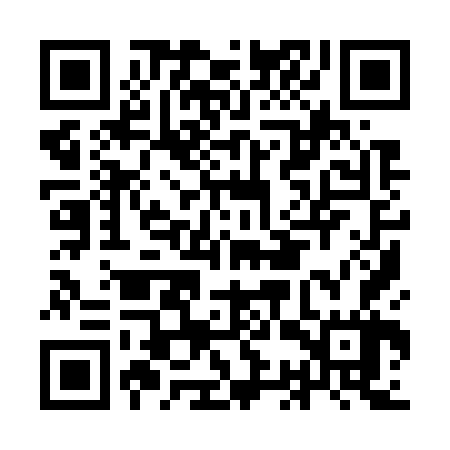 QR code for ICY767