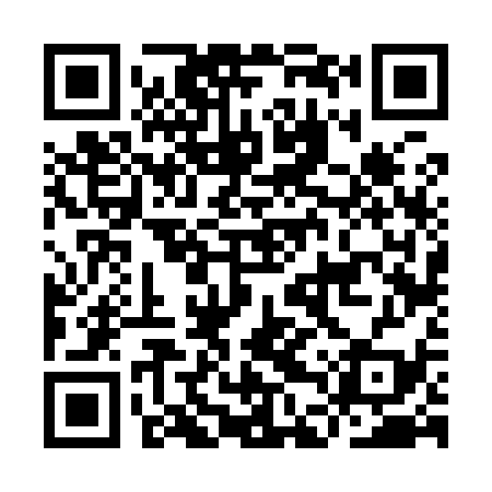 QR code for IDV939