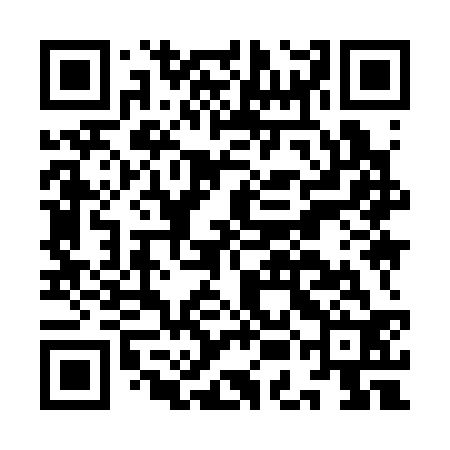 QR code for IEI332