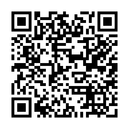 QR code for IFG387